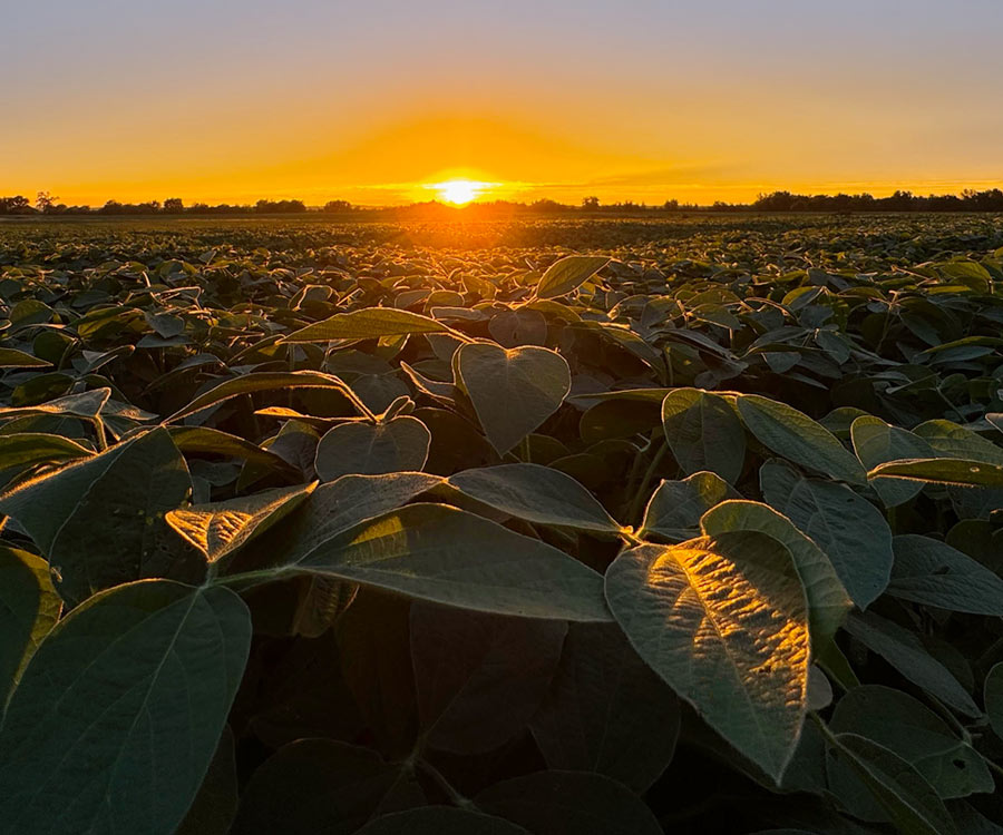 Nutritionals and Inputs Central Missouri